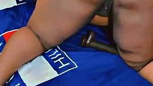 sundaydogood614 - update 527 - vid 20241011 135259 - oct 11 2024