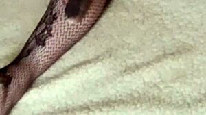 I Was Woken Up With Cum On My Sexy Ass Klaudiaambergirl