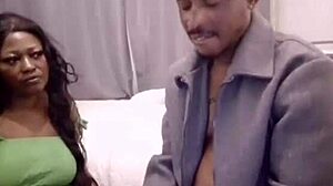 Latest update 1414 from Nigarchrist features petal on June 14, 2025