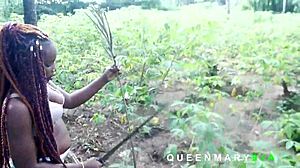 Intense bush encounter harvesting palm fruits leads to helping her fetch firewood and rewarding with hardcore fucking