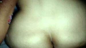 the zorra of america latina dmrs-f