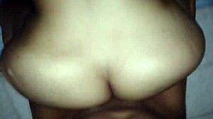 the zorra of america latina dmrs-f