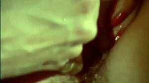 Annette Haven C J Laing and Gloria Leonard Maraschino Cherry