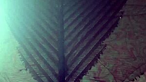 Elza Kom Nylon Tights Fetish. A curvy ebony student worships her narrow ass in leggings and panties during financial domination.