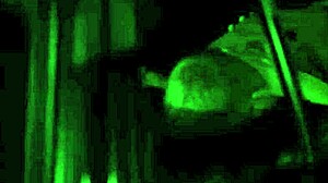 Teacher caught student fucking!! 😏