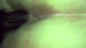 the narrative of lil black, a small black person