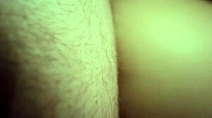 Sex with a Pornstar Bella Mur in Doggystyle Creampie