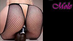 Sounds of pussy penetration pawg in pantyhose rides dildo big round ass