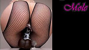 Sounds of pussy penetration pawg in pantyhose rides dildo big round ass