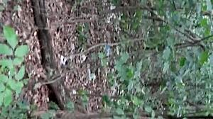 Do we fuck in the woods to hide our lesbian secrets?