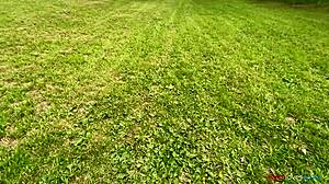 Brunette amateur tries outdoor masturbation in the forest for the first time this year.