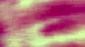 me cojo a mi chica travesti 2