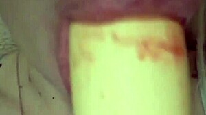 Sweet Emotions With Elzakom's Pussy