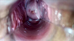 pulsating orgasm inside the vagina