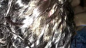 College sluts railed by black cocks