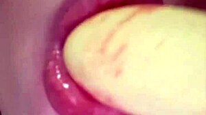 Sweet Emotions With Elzakom's Pussy