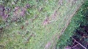 Adventurous journey with Caucasian thickie girlfriend