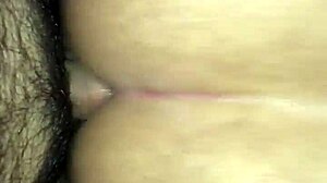 me cojo a mi chica travesti 2