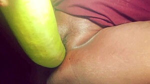 village slut fucks fat bottle gourd deep in pussy part 2