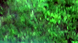 Adventurous journey with Caucasian thickie girlfriend