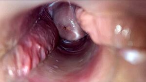 pulsating orgasm inside the vagina