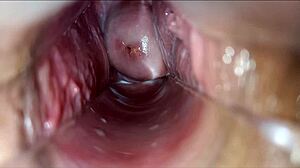 pulsating orgasm inside the vagina