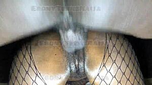 Naughty America WetPussyNaija Pounds Dripping Student Pussy Doggystyle!