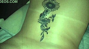 damn these mattos movies babes backstage naked licking hairy pussies and big cocks