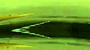 discover jay raw the 18-year-old latin hunk scorching up hotguyshouse now