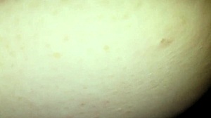 Whoa! Big black cock pounds that fat white ass raw!