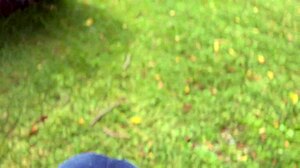 linda the peruvian street chat girl came over and we fucked anal in my house