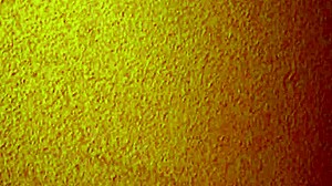 i hooked up with this cheap mature asian hooker at the brothel for creampie fun licking her feet too