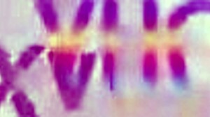 Sensual teen Gabily Castro starts with single assfucks then full 5-man gangbang DAP pee explosion