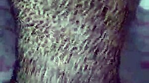 hot wife prostitute bends over for doggystyle ass pounding