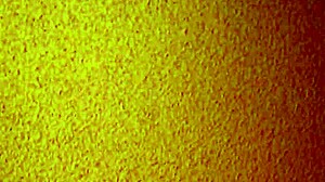 i hooked up with this cheap mature asian hooker at the brothel for creampie fun licking her feet too