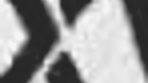 British Teen Sucks Cock In Polo Shirt!