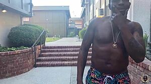 layla quinn's wet holes get bbc nailed by rome major in deepthroat doggy cumshot