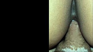 Amateur Latina Couple Slams Wet Pussy Ass Small Tits Action