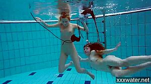 wanna see hot russian bikini babes strip nude poolside?