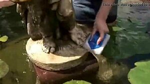 wanna see hot teen cumshots dripping everywhere