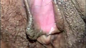 Amateur Latina Couple Slams Wet Pussy Ass Small Tits Action