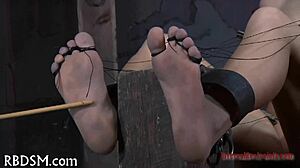 Sado Maso Whips Cunts and Pounds Assholes Raw