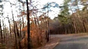 clitlicker662 flashes her wet pussy in forest for public orgasm voyeur update