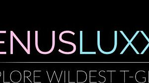 shemales suck monster cock in high heels