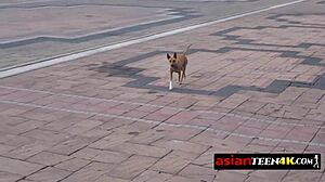 horny tourist hunting petite asian 18+ teen for outdoor fuck 😈 who's next??