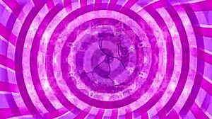 Big cock shemale femdom gives sissy jerk off instructions!