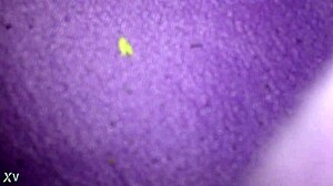 Her friend's tattooed girlfriend kia endures intense tight massage fetish play turning erotic