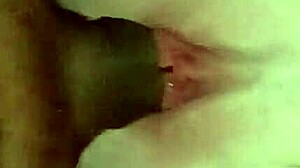 hot redhead spreads pink pussy and shakes small waist ass for bbc?