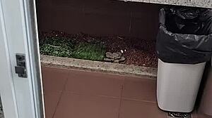 amateur jerks small cock in public bathroom toilet handjob