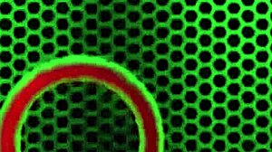 Rome Major Pounds Chunky Sofia Rose Throat Deep with BBC